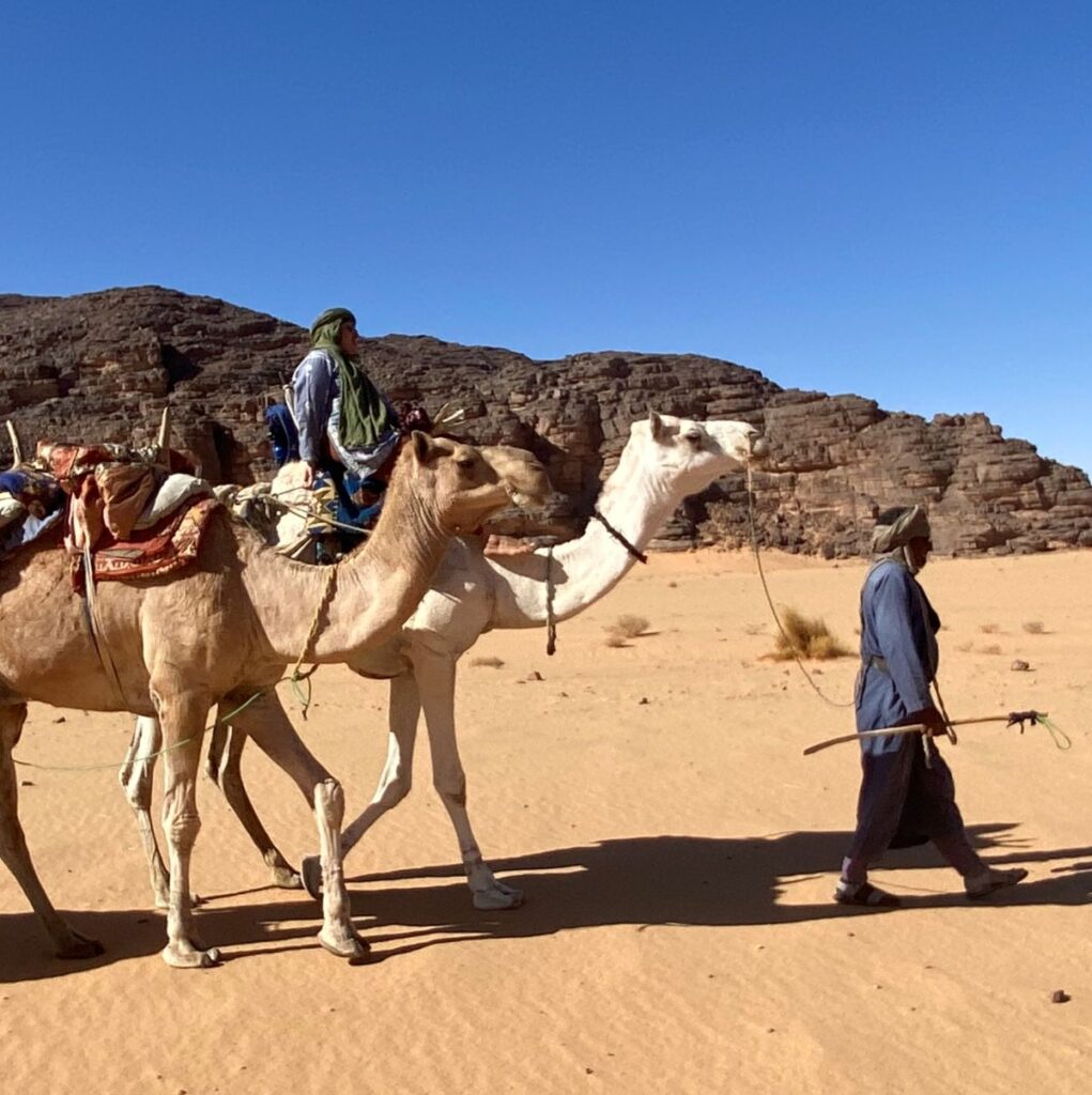 Karawane mit Kamelen in der Sahara bei Djanet, unterwegs durch Sand und Felsen