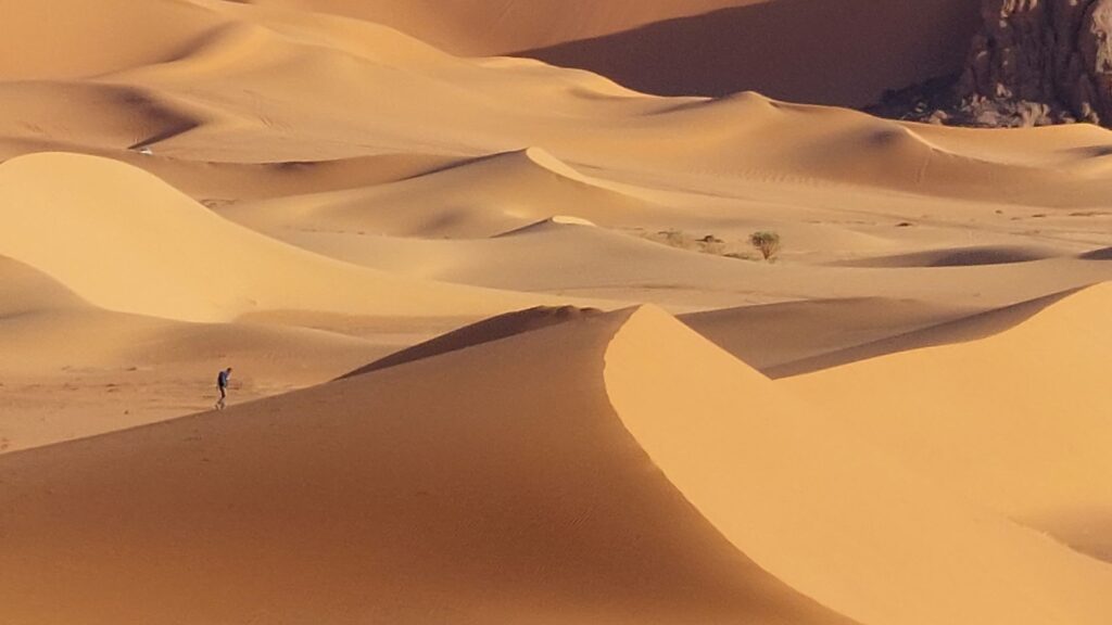 Wandern über die Sanddünen der Sahara in der Tadrart Rouge bei Djanet