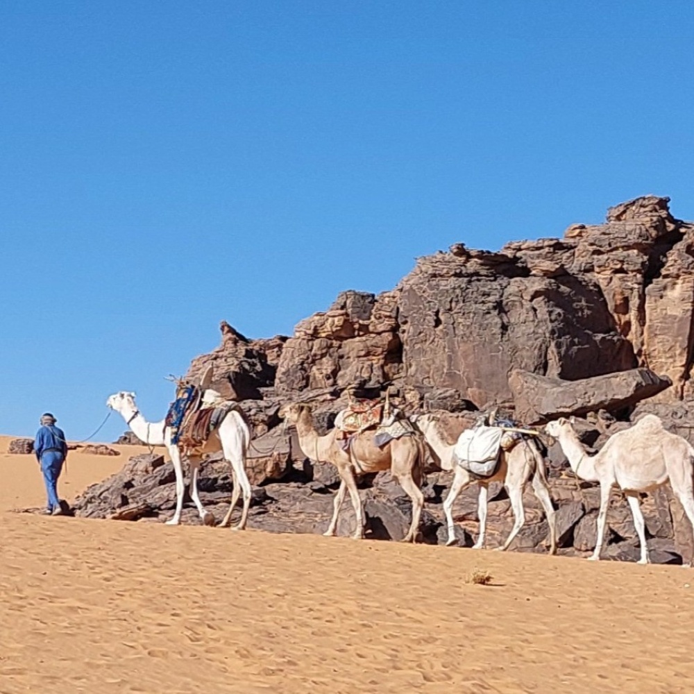 Reisegruppe mit Kamelen vor Felsformationen im Tassili n’Ajjer
